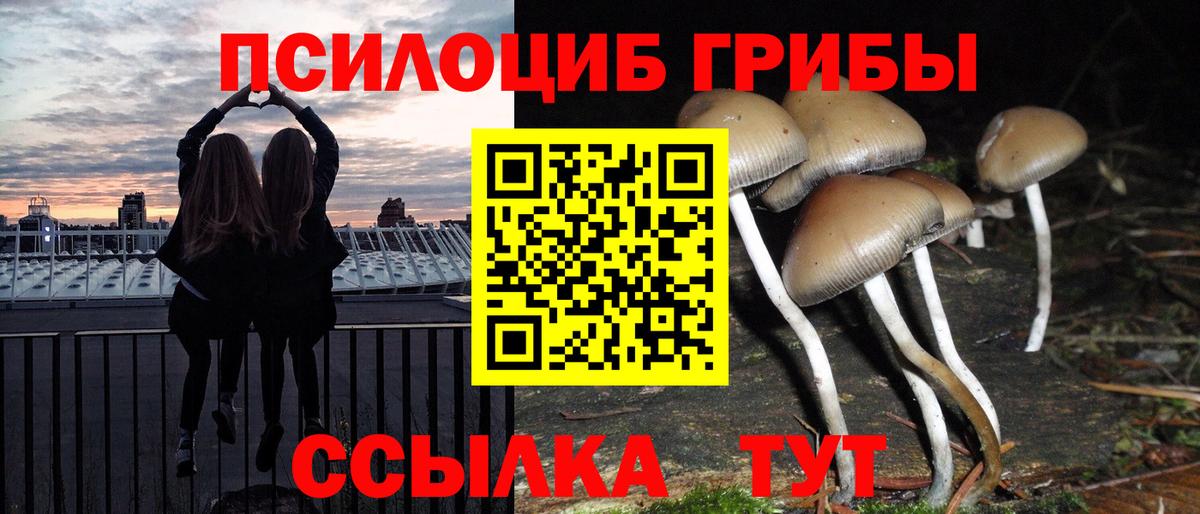 Псилоцибиновые грибы MAGIC MUSHROOMS  Псилоцибиновые грибы прущие грибы  Вход с VPN  Астрахань 